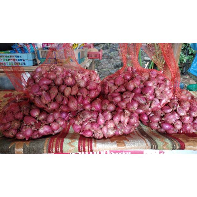 

Bawang merah brebes 1 kg