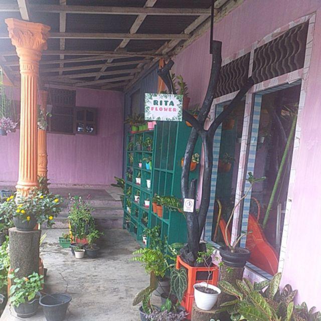 Pot Bulat Bola Pot Bunga Plastik Pot Telur Pxlxt (8x8x7)