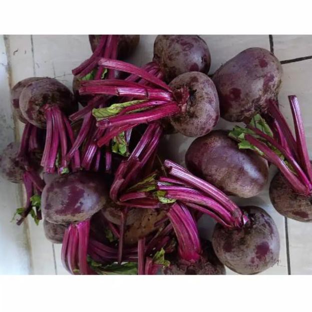 

E..Buah bit/beet root buah herbal/ fresh fruit 1 kg MURAh Ready Stok.D d1skon_l@gi