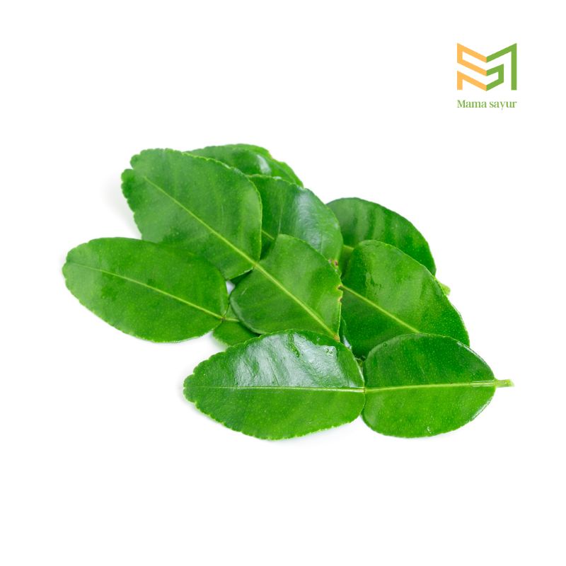 

Daun jeruk segar per pack