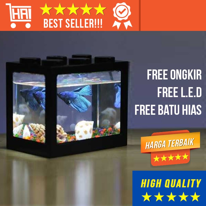 AKUARIUM MINI PLUS LAMPU BATU HIAS LAMP AQUARIUM KACA AIR 