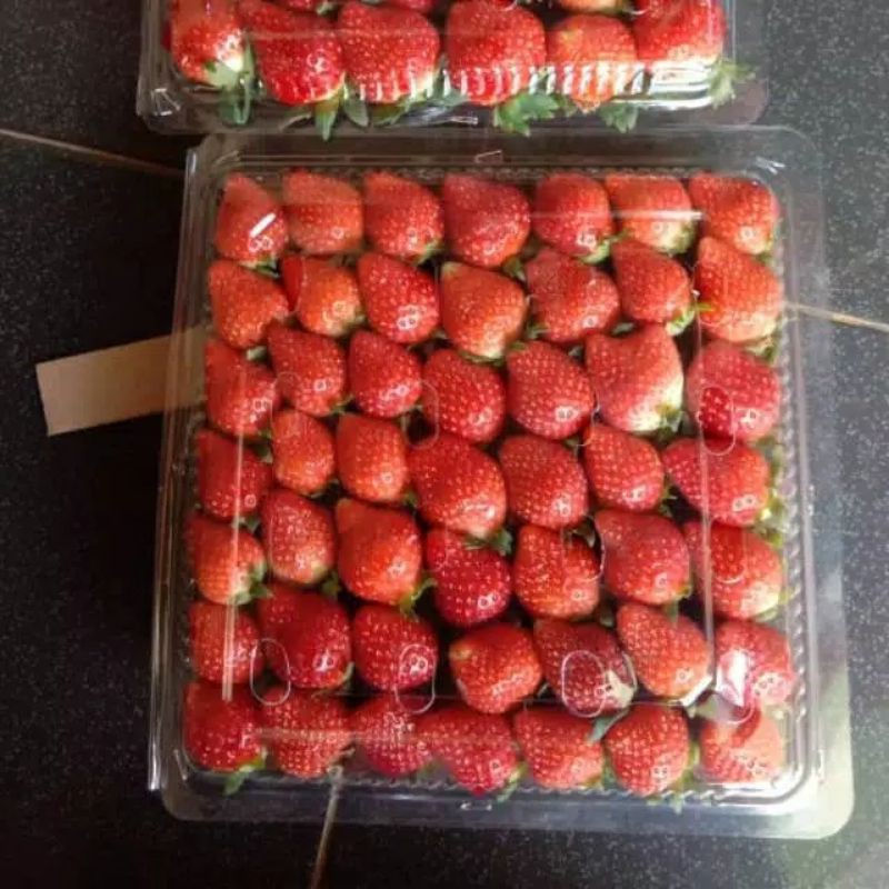 Strawberry segar organik 500 gram/ terbaru dan termurah/ Bandung fresh market