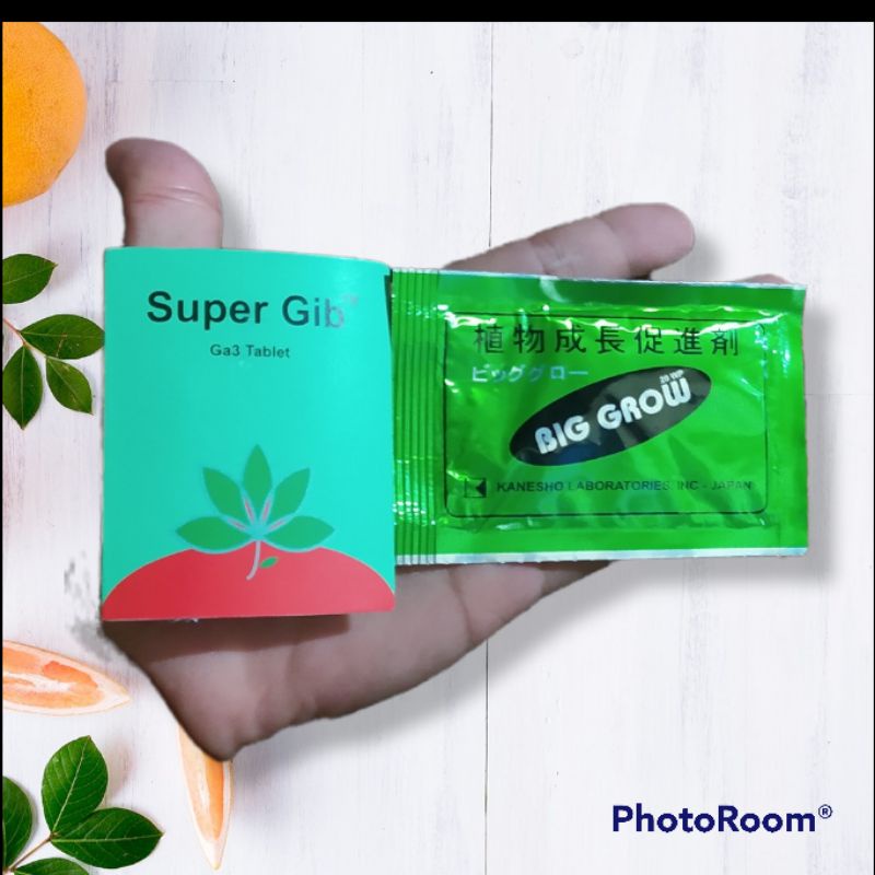 Paket Biggrow Big grow plus Super Gib Tm new ga3 tablet