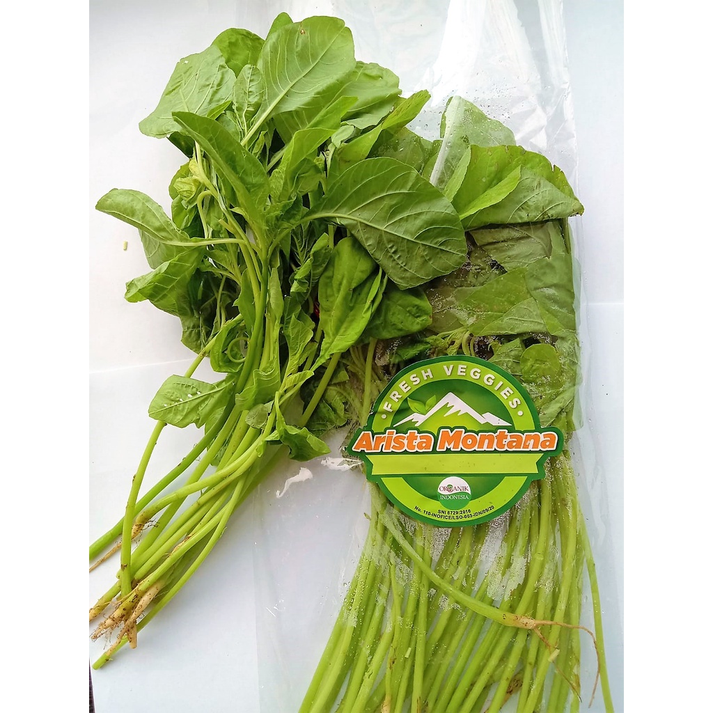 

RH DAUN BAYAM HIJAU ORGANIC 250 GR / BAYAM ORGANIK SEGAR / FRESH VEGETABLES
