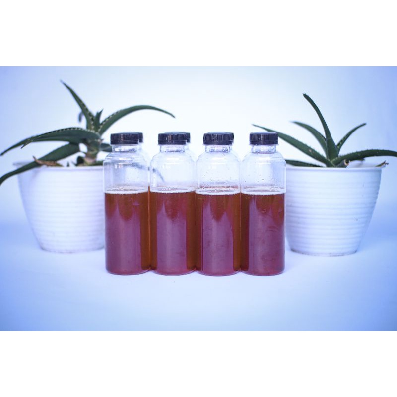 

Madu Murni Hutan Sumbar (Payakumbuh) - Ukuran 250 gram