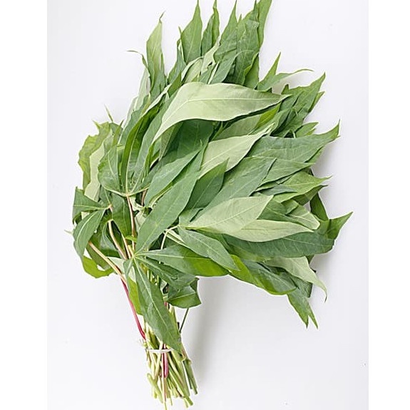 

Daun Singkong Per Ikat