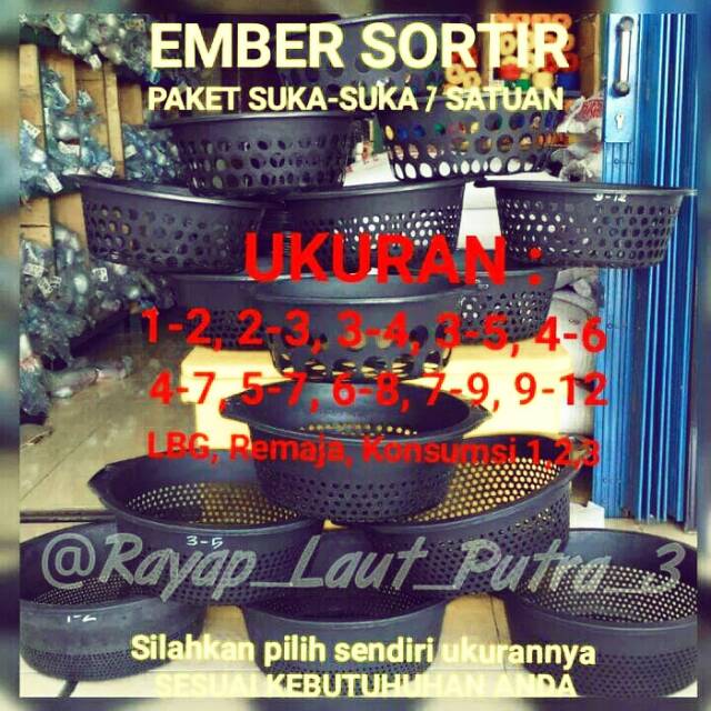 EMBER SORTIR LELE PAKET SUKA-SUKA