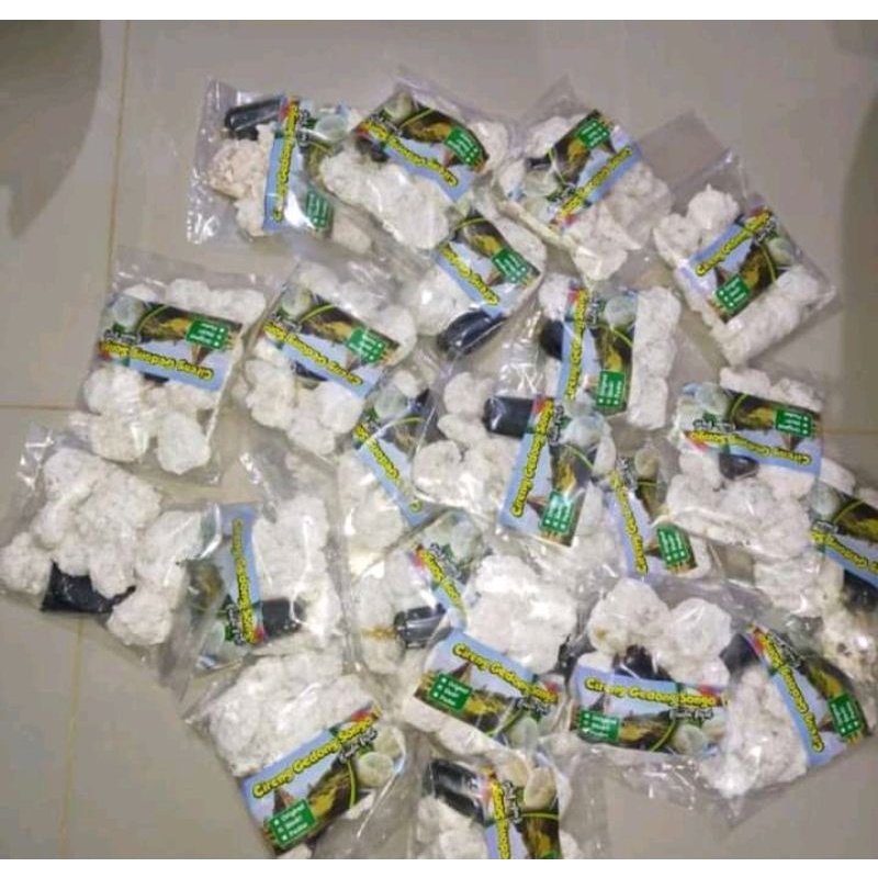 

CIRENG RUJAK (RUJAK CIRENG ENAK) Khas Bandungan