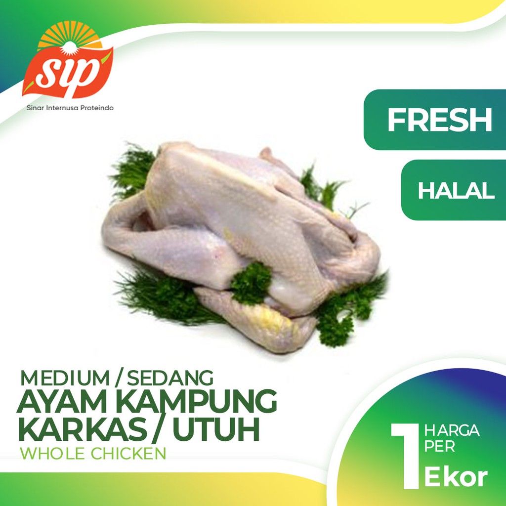 

Ayam Kampung Sedang