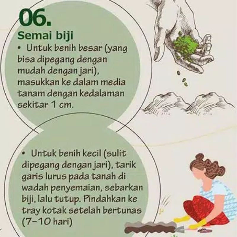 Benih Sayur Bibit Tanaman Sayuran Bawang Cabe Kacang Oyong Pare Timun Terong Tomat Wortel-6