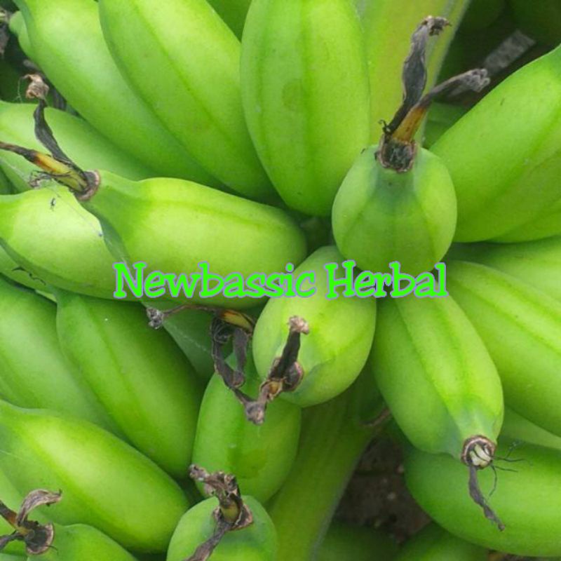 

pisang muli lampung 1kg mentah