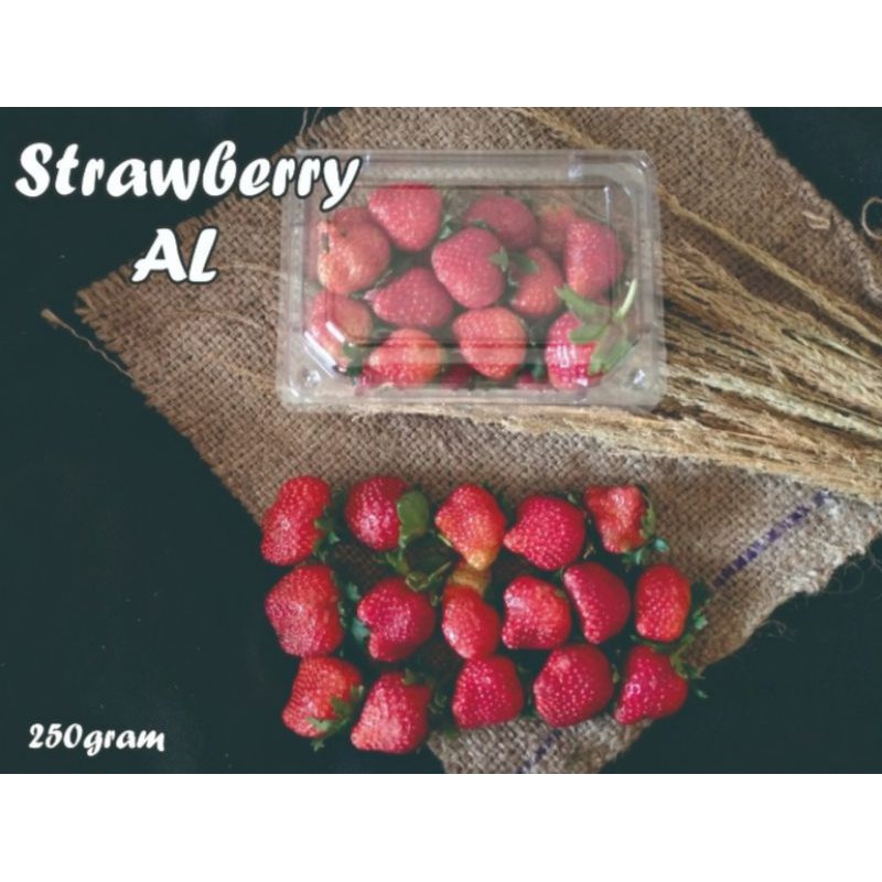 

Strawberry Grade AL 250gr, strawberry, stroberi, segar, fresh, harga murah, grosir