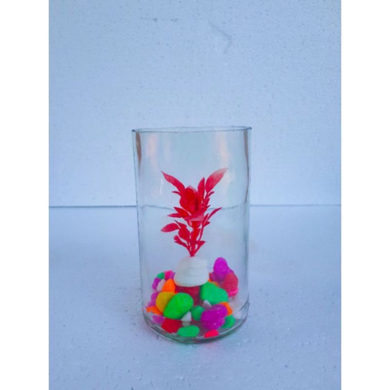 Botol kaca tempat ikan cupang / Aquarium mini tempat ikan hias, guppy dll