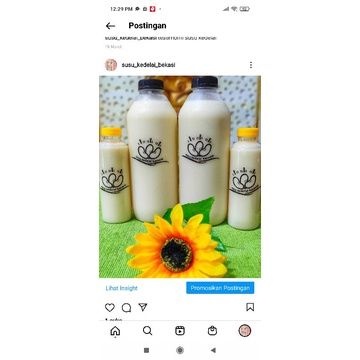 Susu Kedelai - Soy Milk- Susu kedelai murni -susu kedelai rasa- minuman sehat bernutrisi