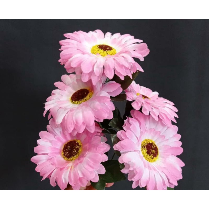 Bunga Gerbera 1265