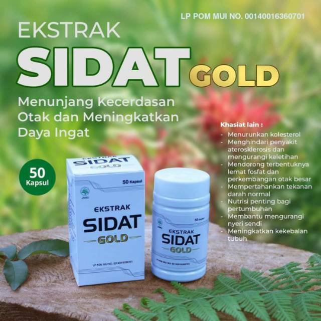 

Ekstrak sidat gold kapsul ikan sidat