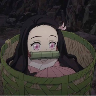 Demon Slayer Kamado Tanjiro Nezuko Tomioka Cosplay Daily