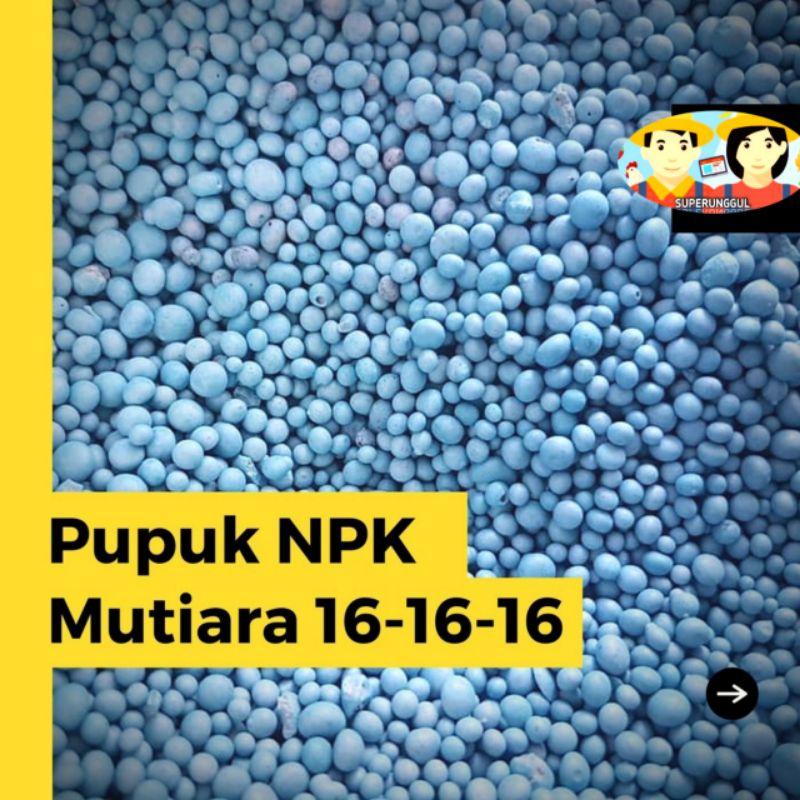 Pupuk Npk mutiara 16 16 16 Kemasan 1kg