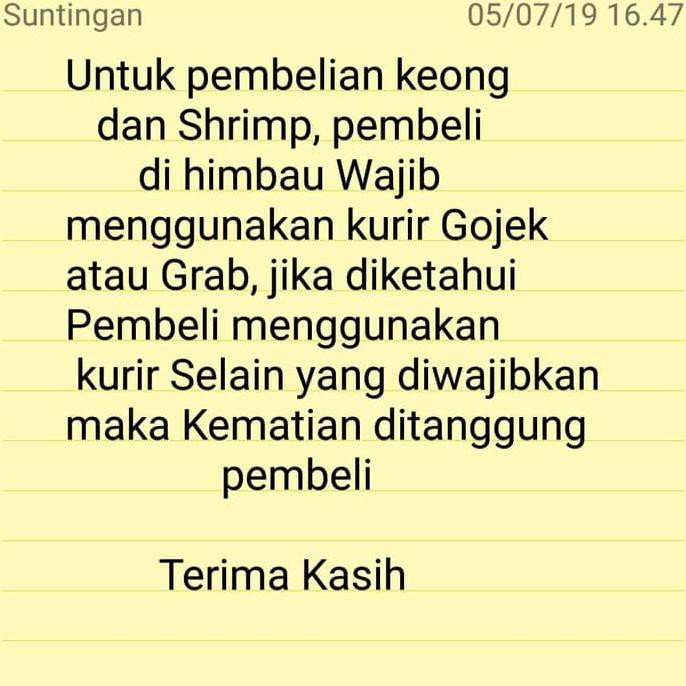 Aquascape keong assasin