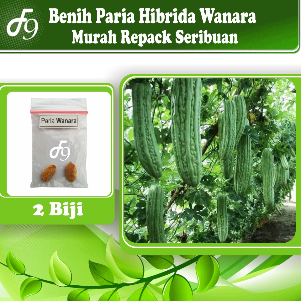 Benih Bibit Pare Paria Murah Repack Seribuan