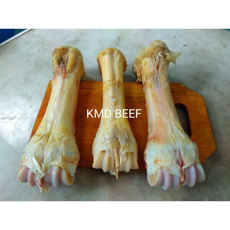 

Tulang Kaki/Tulang Sumsum