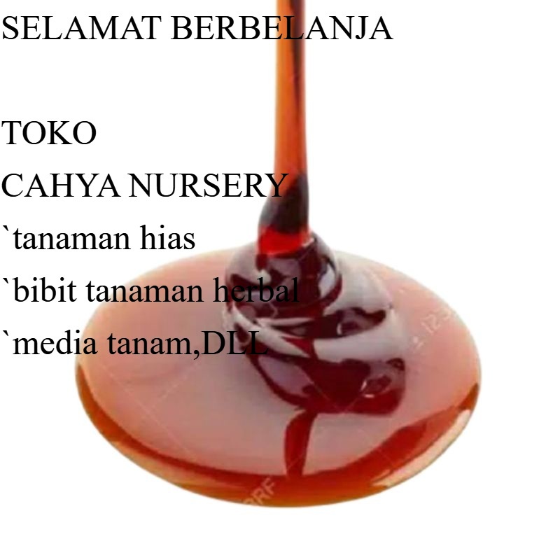 

PROMO Gula aren cair 500gram gula murni khas ciamis