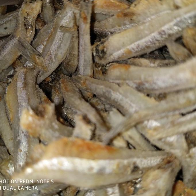 

[COD] teri jengki bulet 1kg [COD]