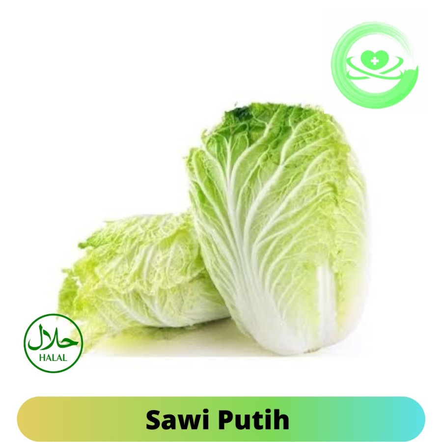

SAWI PUTIH FRESH | SAYUR SAWI PUTIH PREMIUM 1KG