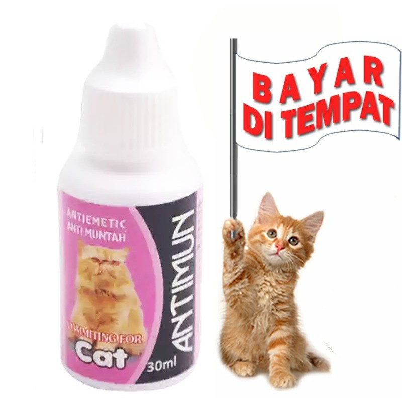 OBAT MUNTAH KUCING MUAL MUAL - ANTIMUN