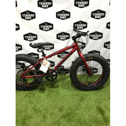 wimcycle fat bike