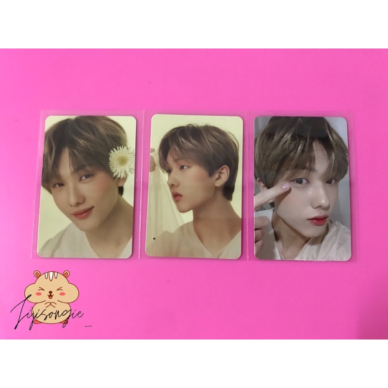 Photocard Jisung Candylab v4