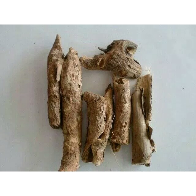 

600 G GR GRAM 五加皮 WU JIA PI ACANTHOPANAX ROOT BARK