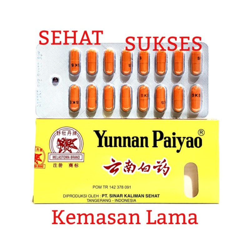 YUNNAN PAIYAO / YUNSAN PAIYAO - OBAT LUKA DALAM