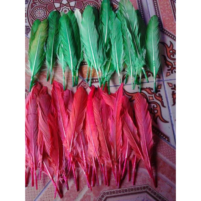 Aksesoris Bulu ayam kaku