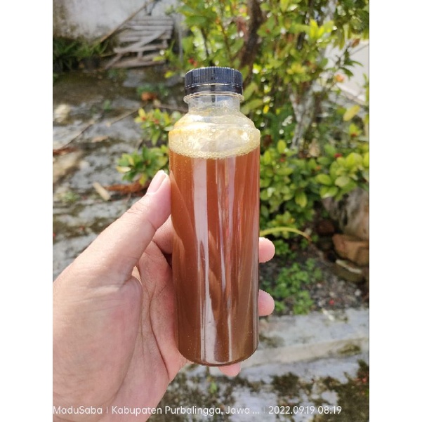 Madu tawon asli lebah liar Gung 250ml