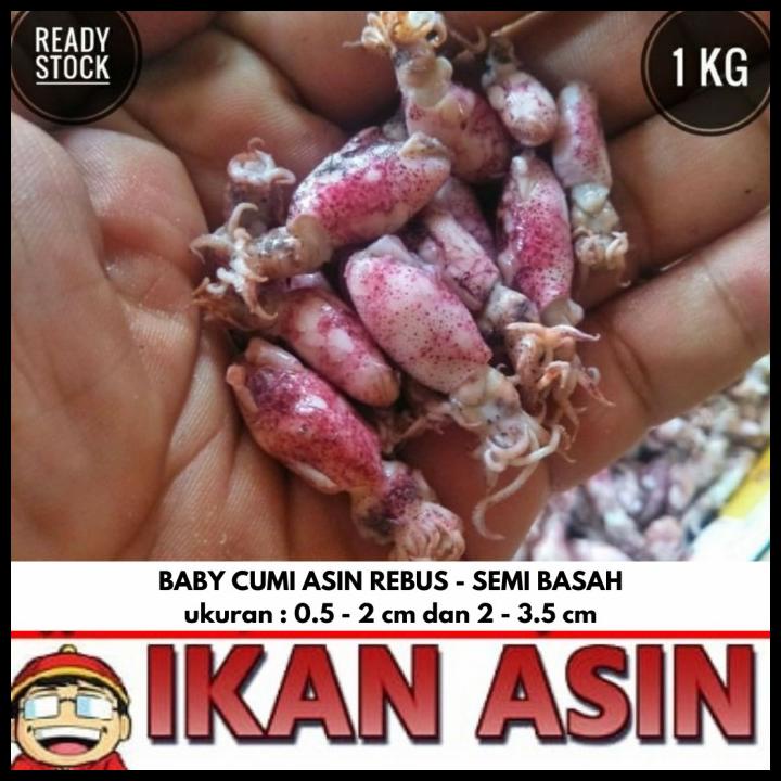 

Baby Cumi Asin Basah 1 Kg