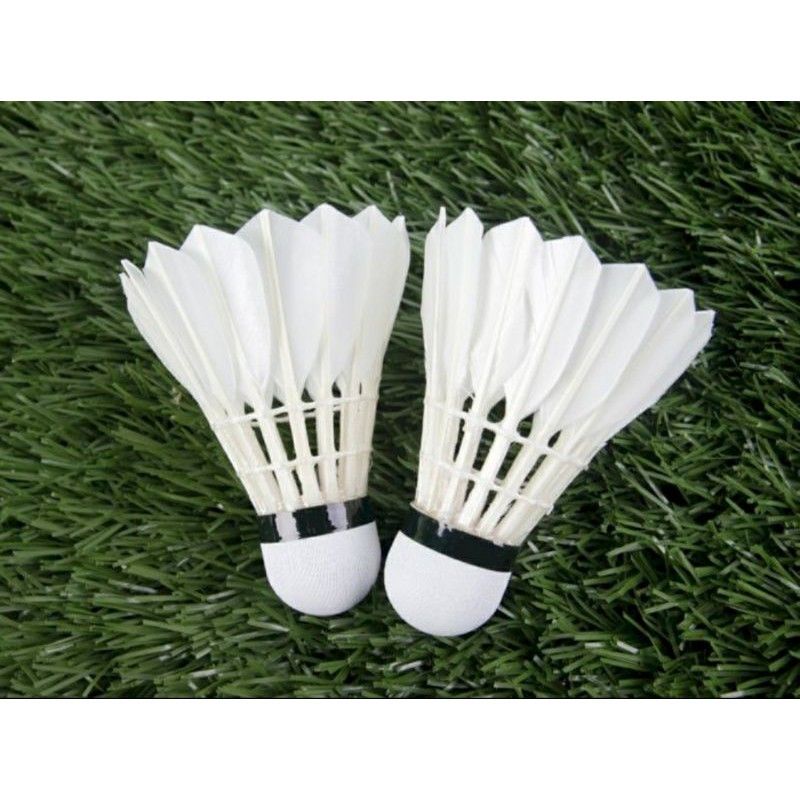 kok bulutangkis Frasser Master Shuttlecock Badminton best sellers 1 Slop 12 pcs