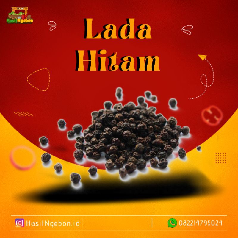 

LADA HITAM 25GR