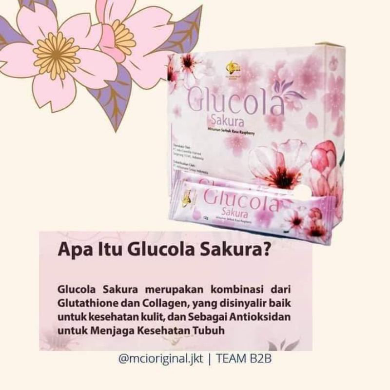 Glucola Sakura MCI Original Minuman Collagen Sakura Bandung