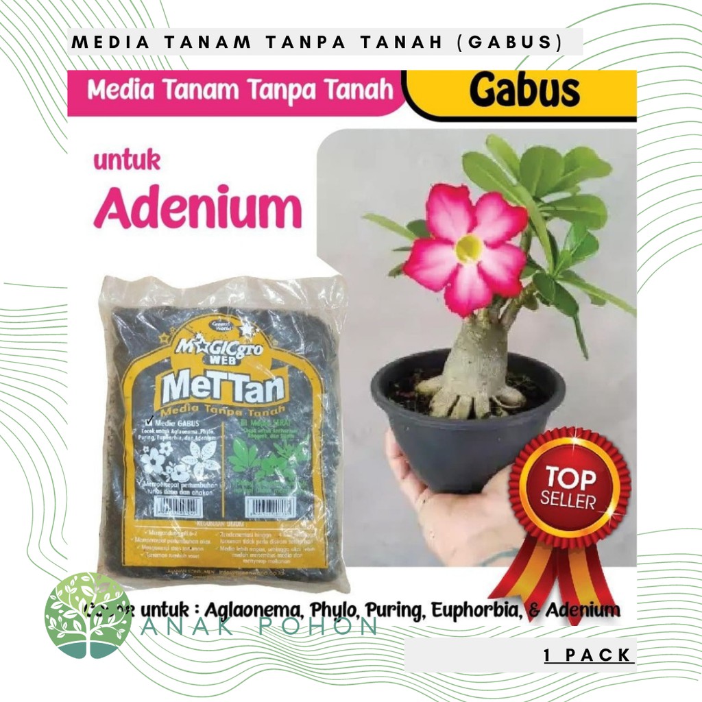 Media Tanam Gabus Small - untuk Adenium METAN (Media Tanam Tanpa Tanah) - Green World MAGICgro WEB METTAN