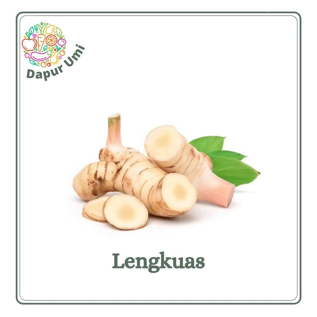 

LAJA LENGKUAS - SAYUR SAYURAN SEGAR PURWAKARTA