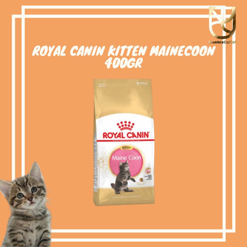 royal canin kitten MAINECOON 400grm