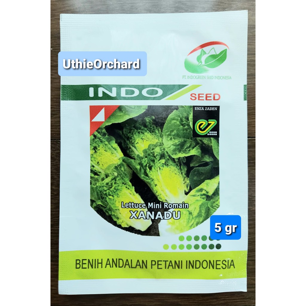 Benih Indo Seed Enza Zaden - Selada Mini Romaine Xanadu 5 gr