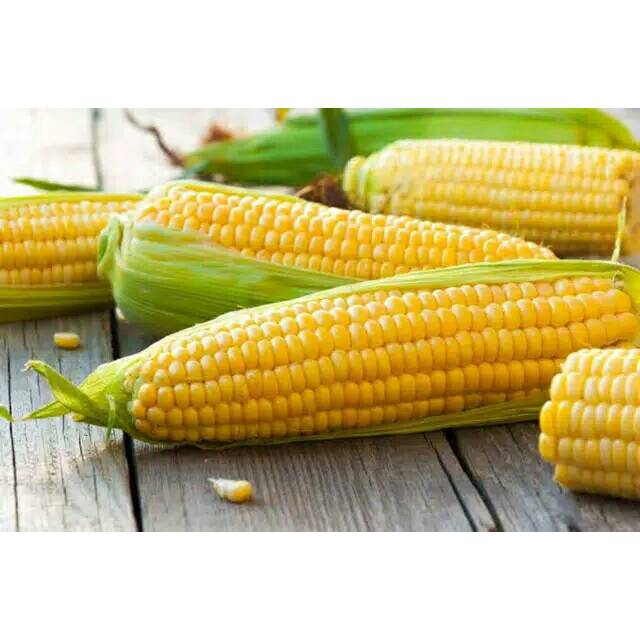 

Jagung Manis