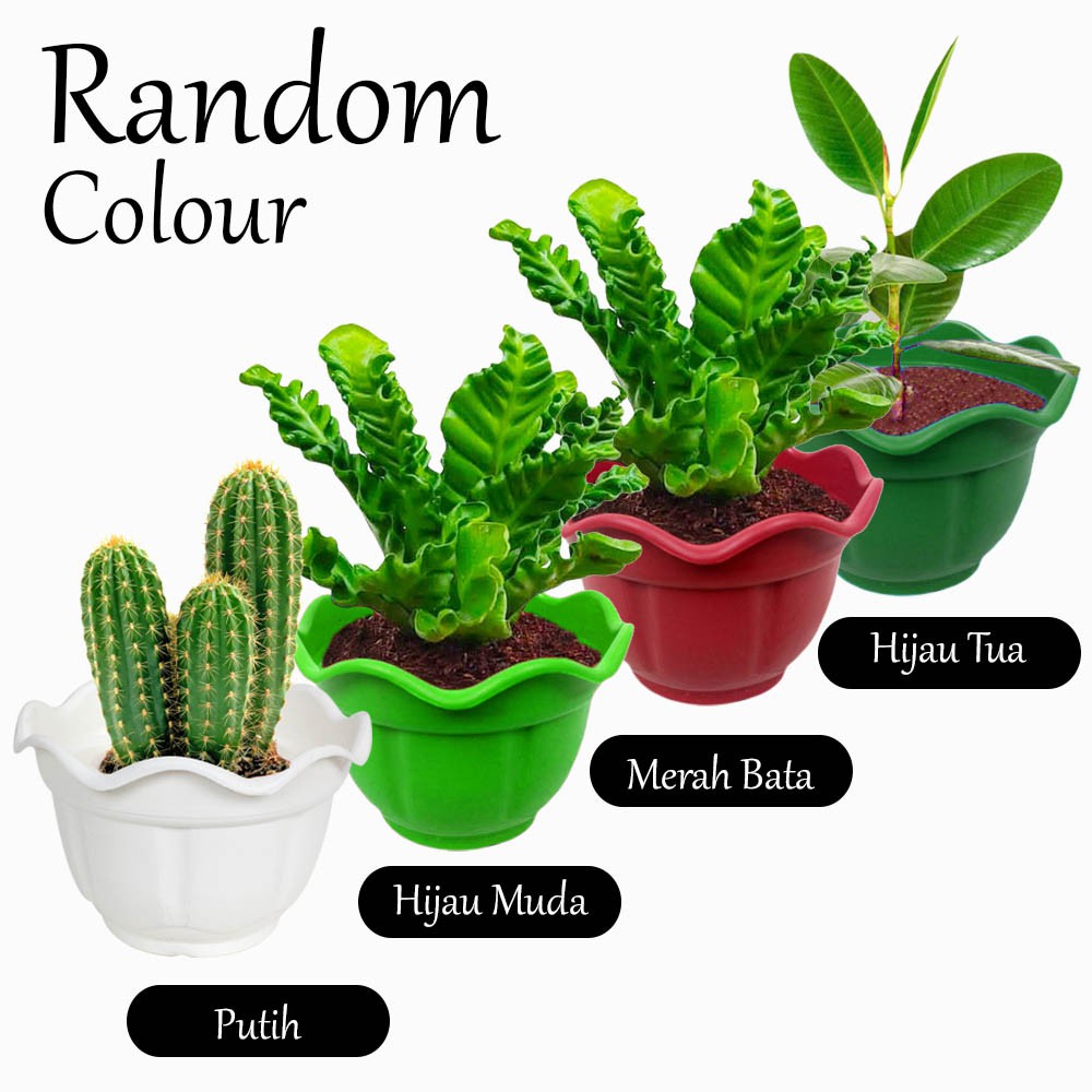 Pot Bunga Bata Paket Berkebun Hemat Random Color - Isi 6 pcs