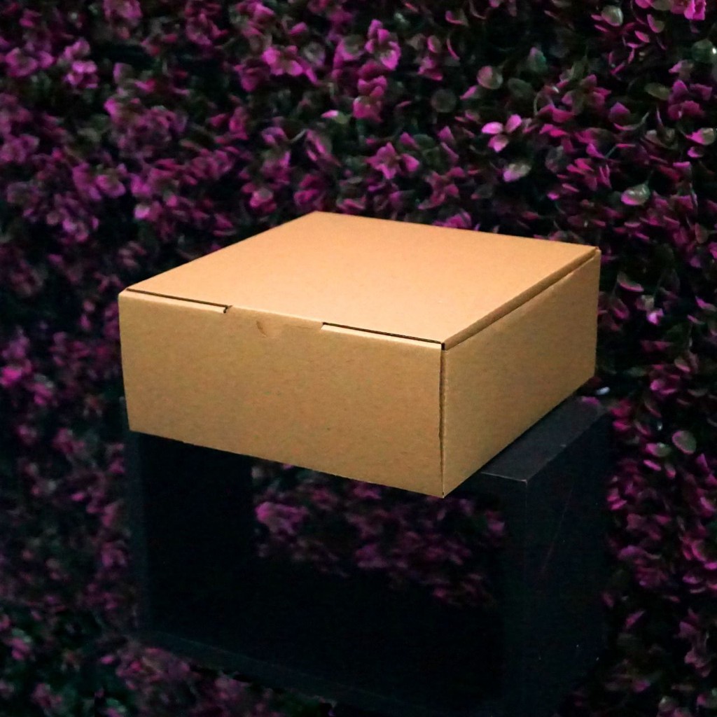 Jual Kotak Packaging Polos Tinggi 20 x 20 x 8 cm - Pizza Box - Bentuk