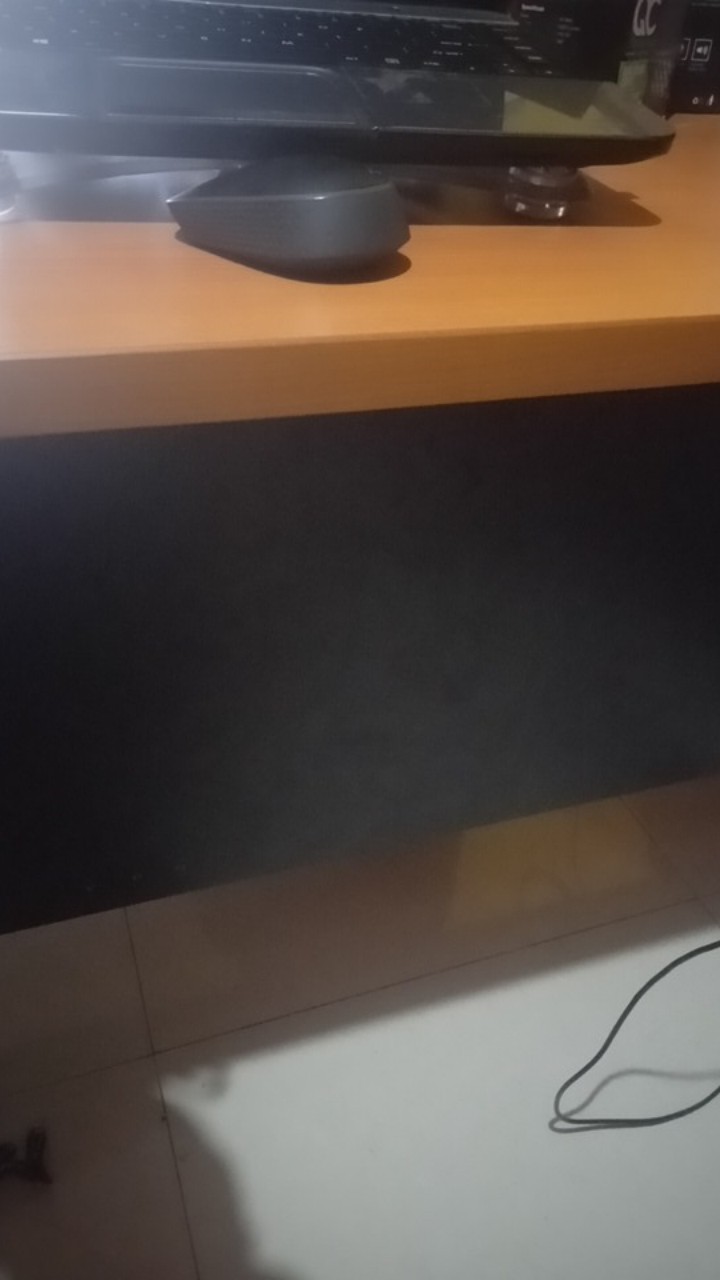 Koteka Papua/souvenir Papua/oleh2 Papua