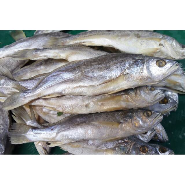 

Ikan Asin Gulama Samge ( @ 250 Gr )