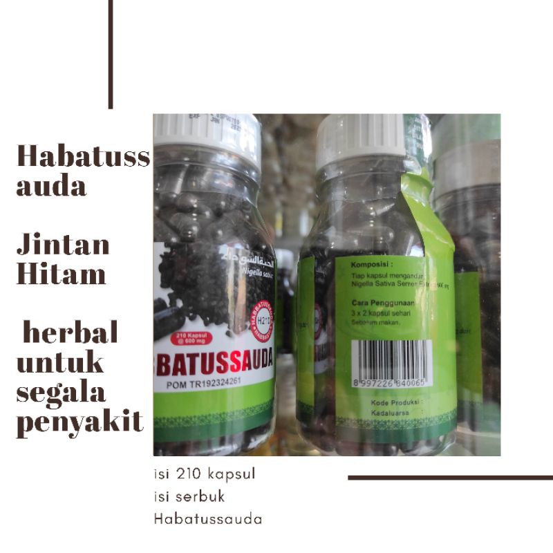 

Habatussauda Jintan Hitam