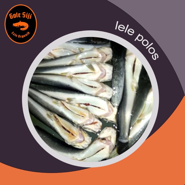 

Ikan Lele tanpa bumbu "Gole Siji" per kg